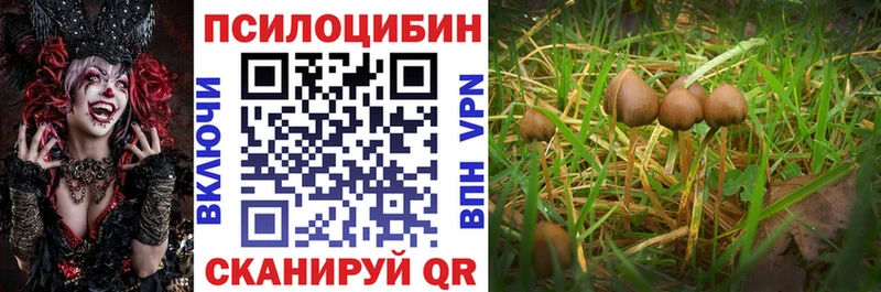 Псилоцибиновые грибы GOLDEN TEACHER  darknet Telegram  Навашино  наркотики 